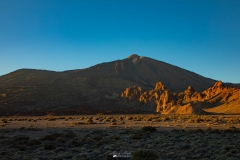 Canarie (6)