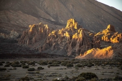 Canarie (7)